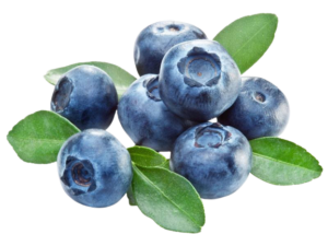 Šumska borovnica Šumska borovnica